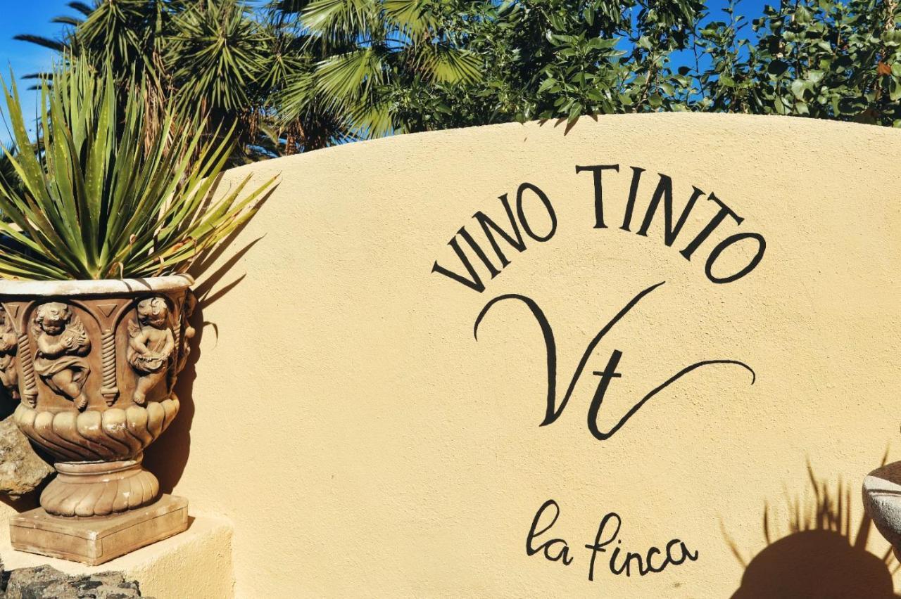 Finca Vino Tinto 5S Icod De Los Vinos Exterior foto